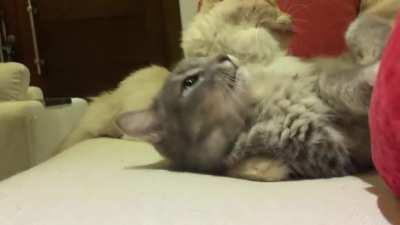 That escalated quickly…