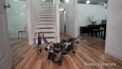 Robot Dog slips on banana peel
