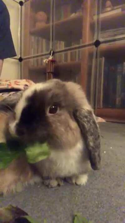 ahh! the food is escaping!