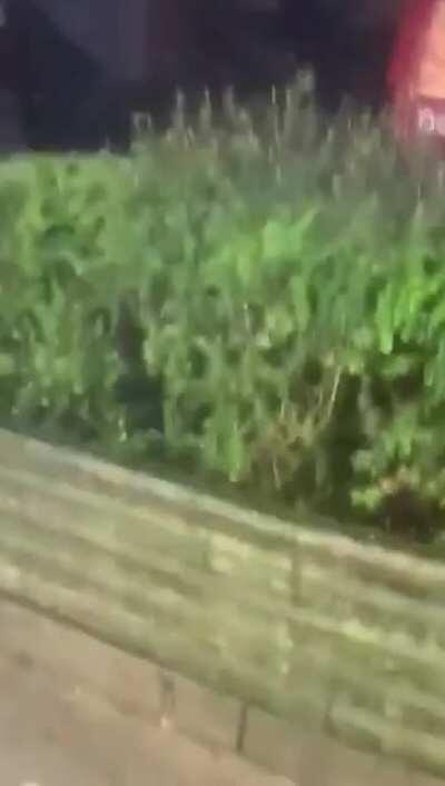 Gangs fighting in balbriggan