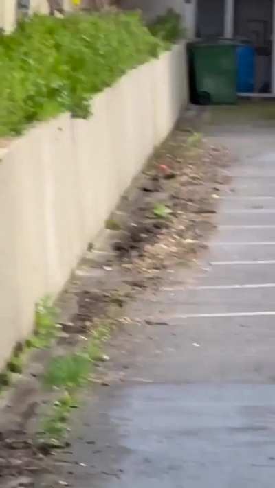  What is actually happening 