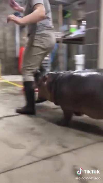 I don’t know why this reminds me of my bully so much lolz