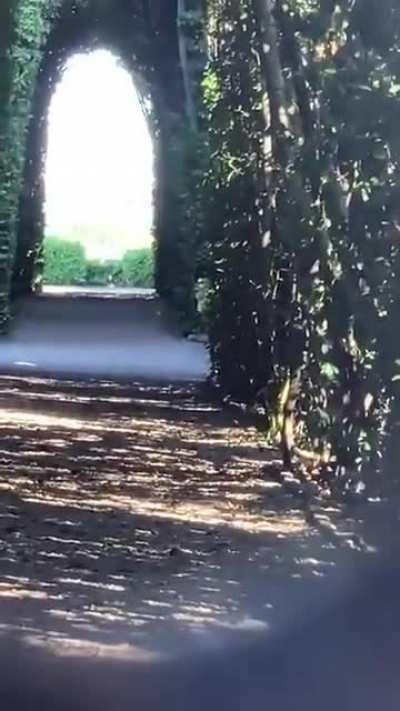 Peeking through Aventine keyhole in Rome, Italy.
