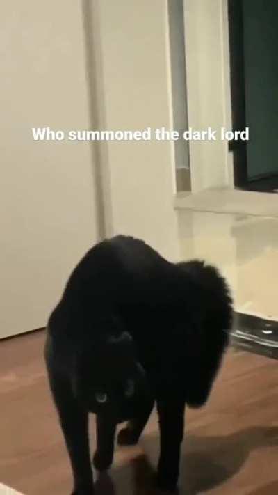 Who summoned the dark lord