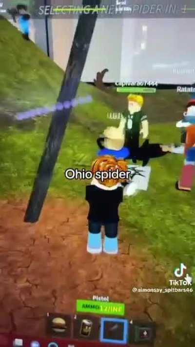 your game has it: damn omega ohio spider