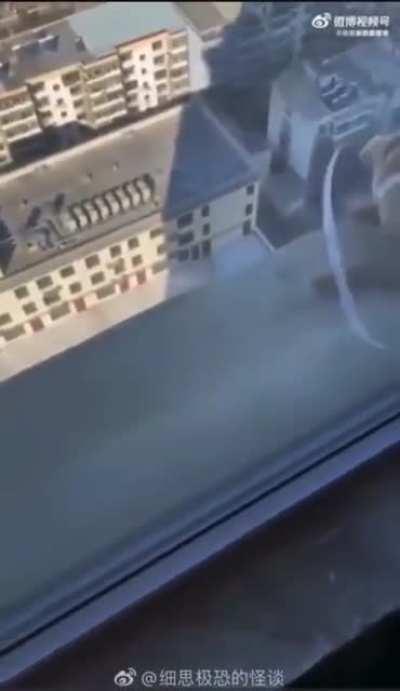 【残忍熊孩子将小狗从20楼扔下并拍视频 】 2月20日，山西临汾一小区内，多名熊孩子把一只小狗带至20楼，从高楼扔下。画面显示，其中一名小孩将狗悬于窗外，并放开栓在狗狗脖子上的绳索。22日，发布该段视频的知情人向记者透露，几名孩子的家长已经带着孩子找到了小狗的主人道歉并进行赔偿。