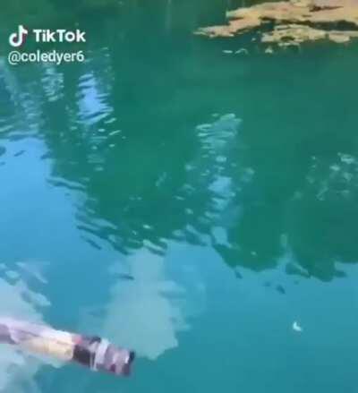 The supreme way of fishing