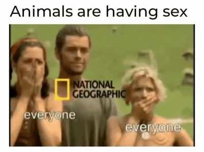 That's what they want