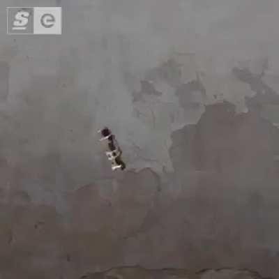 Rikka got flashbanged