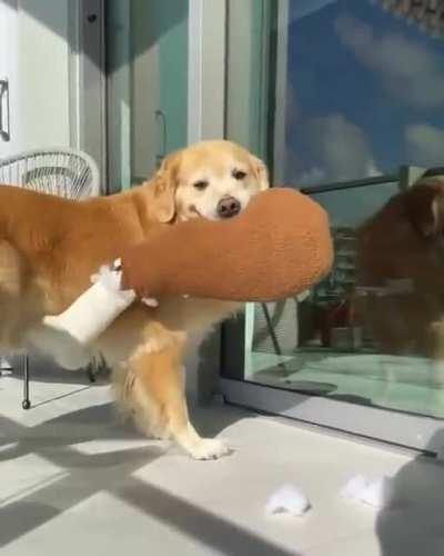 Hmm.. what do i want for dinner?