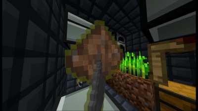 Compact Claustrophobia early game summarized