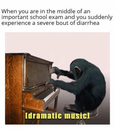 Hahaha diarrhea go brrrr