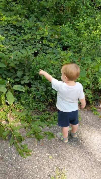 Little bro can't admit he took a wrong turn to the nature path. (Correct path vs incorrect path)