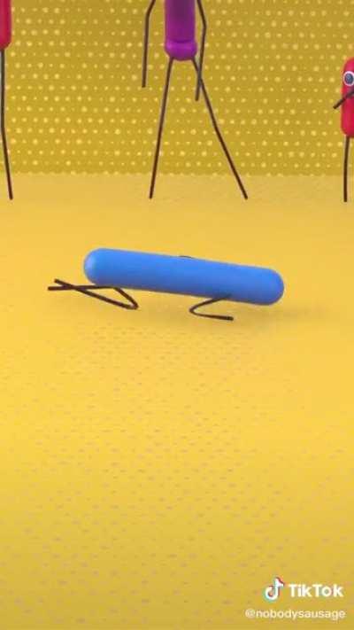 This could be a good template