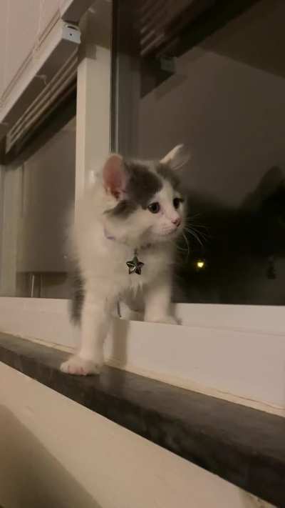 Maddie did NOT like dogs as a baby😅