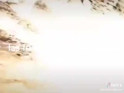 Lo sabía vegeta controlo al kiwi para traicionarnos para que no ahorremos energía 