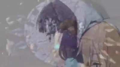 Shadow the hedgehog is a bitch-ass motherfucker