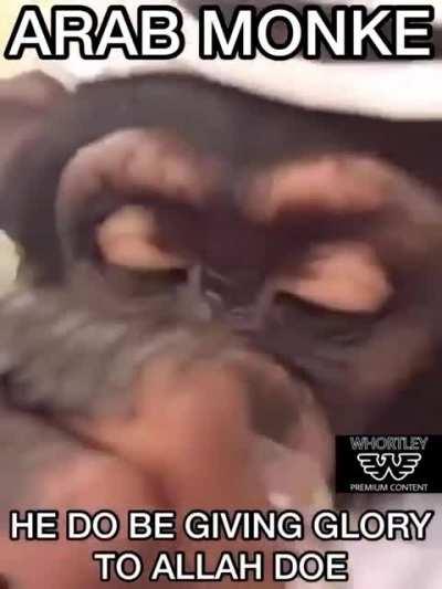 Very classy monke ooh ah ah