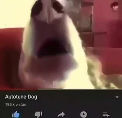 Cover de Pedro Sampaio