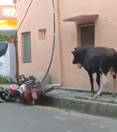 OMG😱😱 this is strange