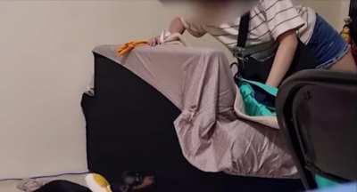 Saw something in my dog cam recording