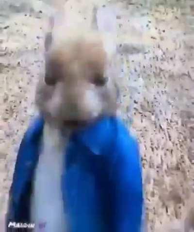 Frohe Ostern also Vorostetzeit! 🐣 🐰 🪺