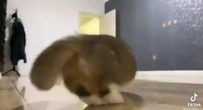 Running all around the house