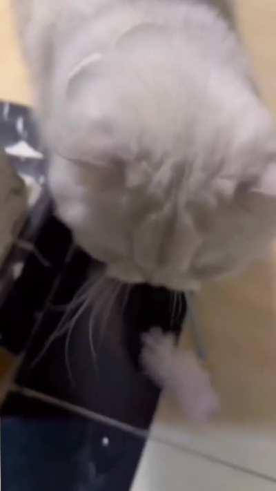 It's not even request..