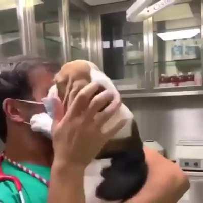 EviL dOg desTroyS docToRs fAce