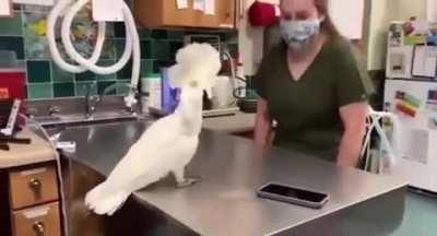 we on x we on codiene ! 🧛🏿‍♀️🦚