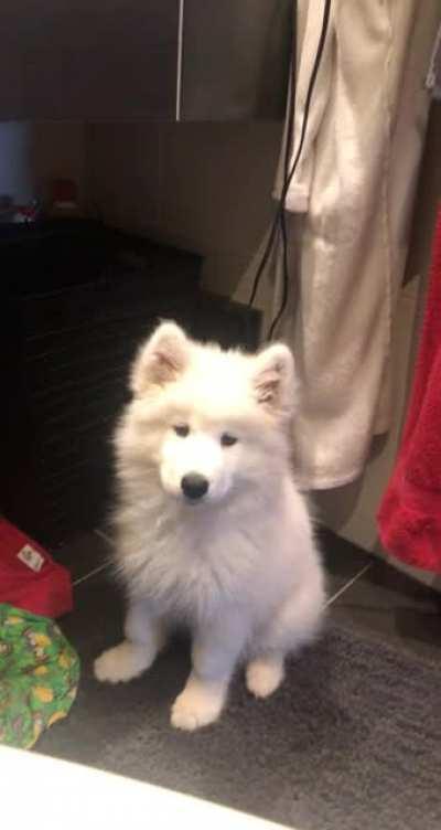 She was like: *Hey😉*