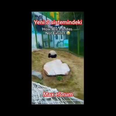 Yeni ustalık sistemindeki sandık kazanma sistemini nasıl buldunuz?