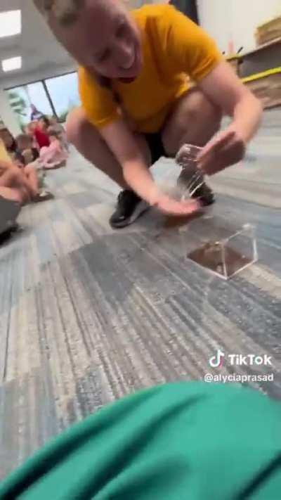 I laughed way too hard. (I hope the spider was okay)