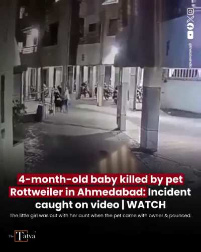 We can't handle when a dog goes out of control.