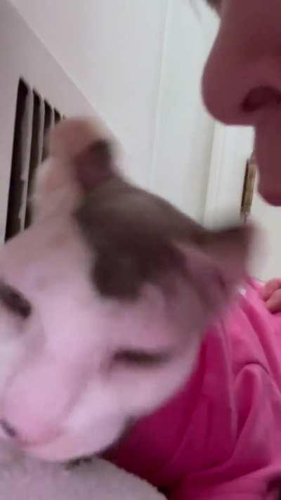 Beebs took her sweater off, and I put a different shirt on. Abuse. 😹