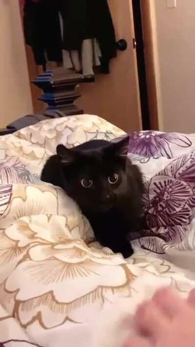 She’s doesn’t commit to the attack