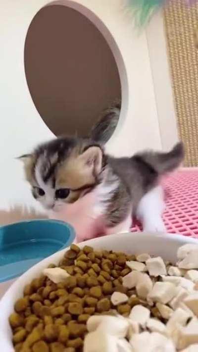 Just a little further... (X-post, not OC)