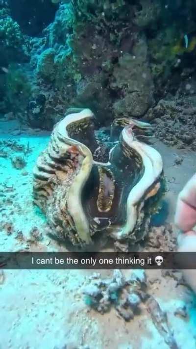 Only if you're fast enough 