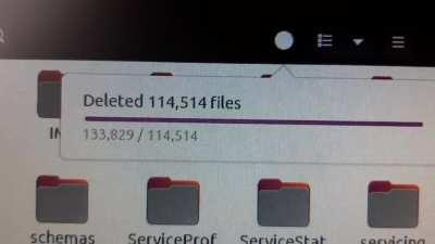 i dont think you're deleting the correct files