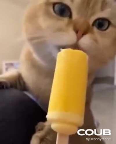 Trying ice cream for the first time