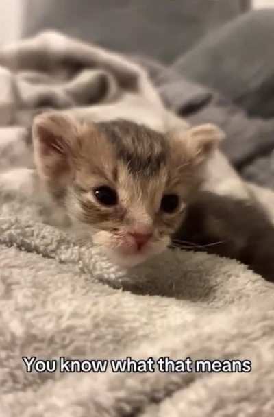 You do the crime you do the time