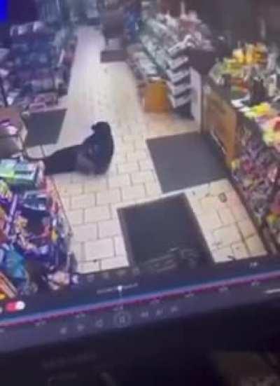 Poughkeepsie, NY store shooting.