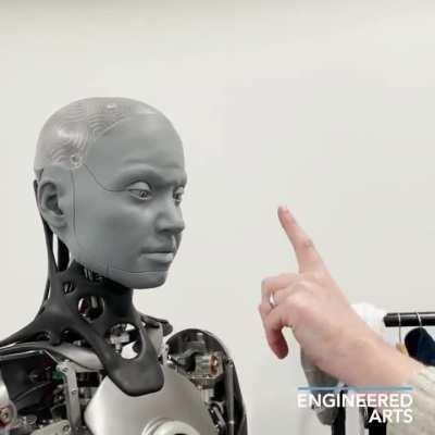 Clearly not a fan of having its nose touched.