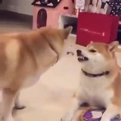 Damn brother good no chill fam