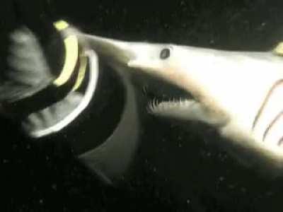 Fuck The Ocean. I mean it. Fuck that.