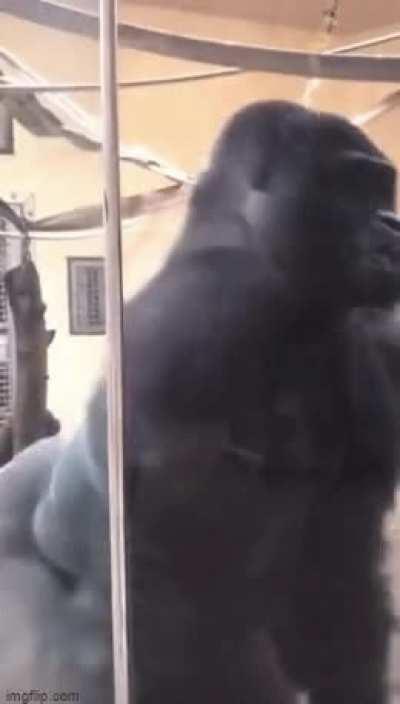 Chad Kong comin’ in hot