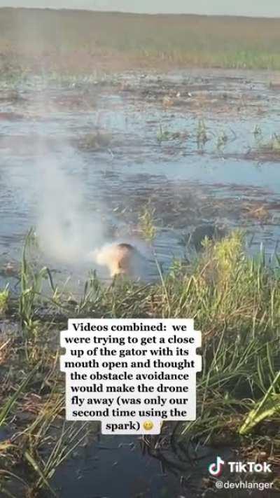 Don't touch wild life...