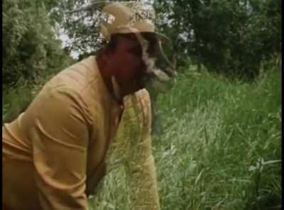 Goat transforming into person