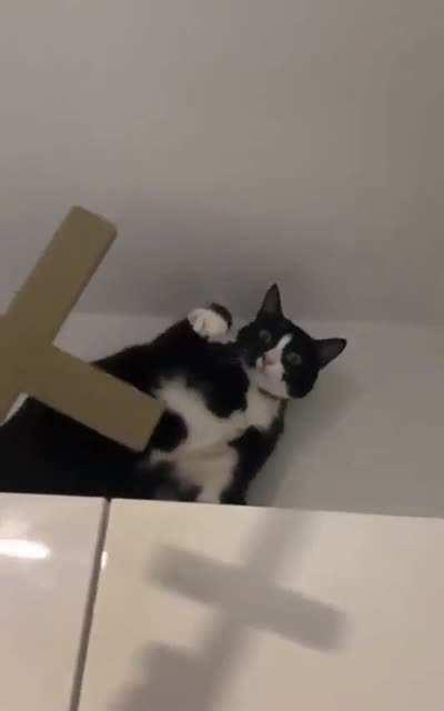 The Power of Christ Compels You !