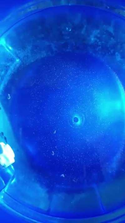 We were drinking this water until... Supposed to be purified water for Drinking.